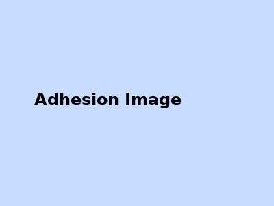 Heat Stable Adhesion Promoters