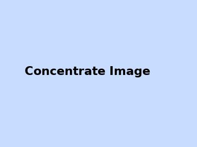 Color Concentrates