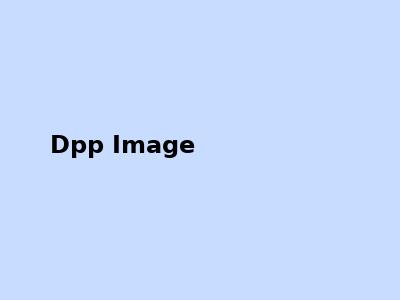 DPP Organic Pigments