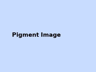 Pigment Powder
